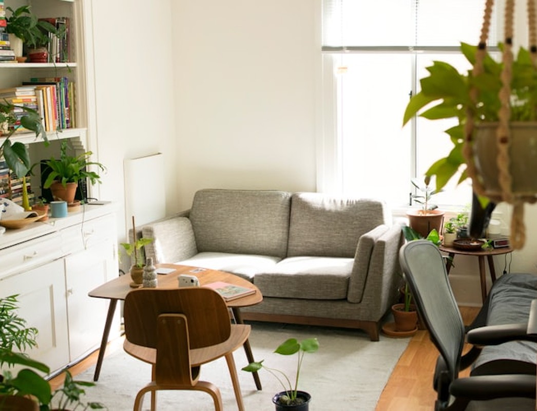 Furnished rental living room